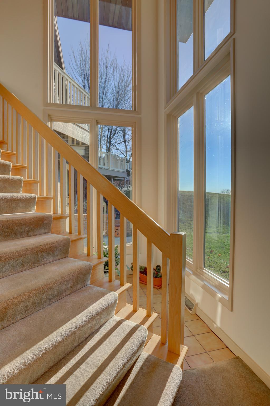 BUCKWOOD HILLS - Residential