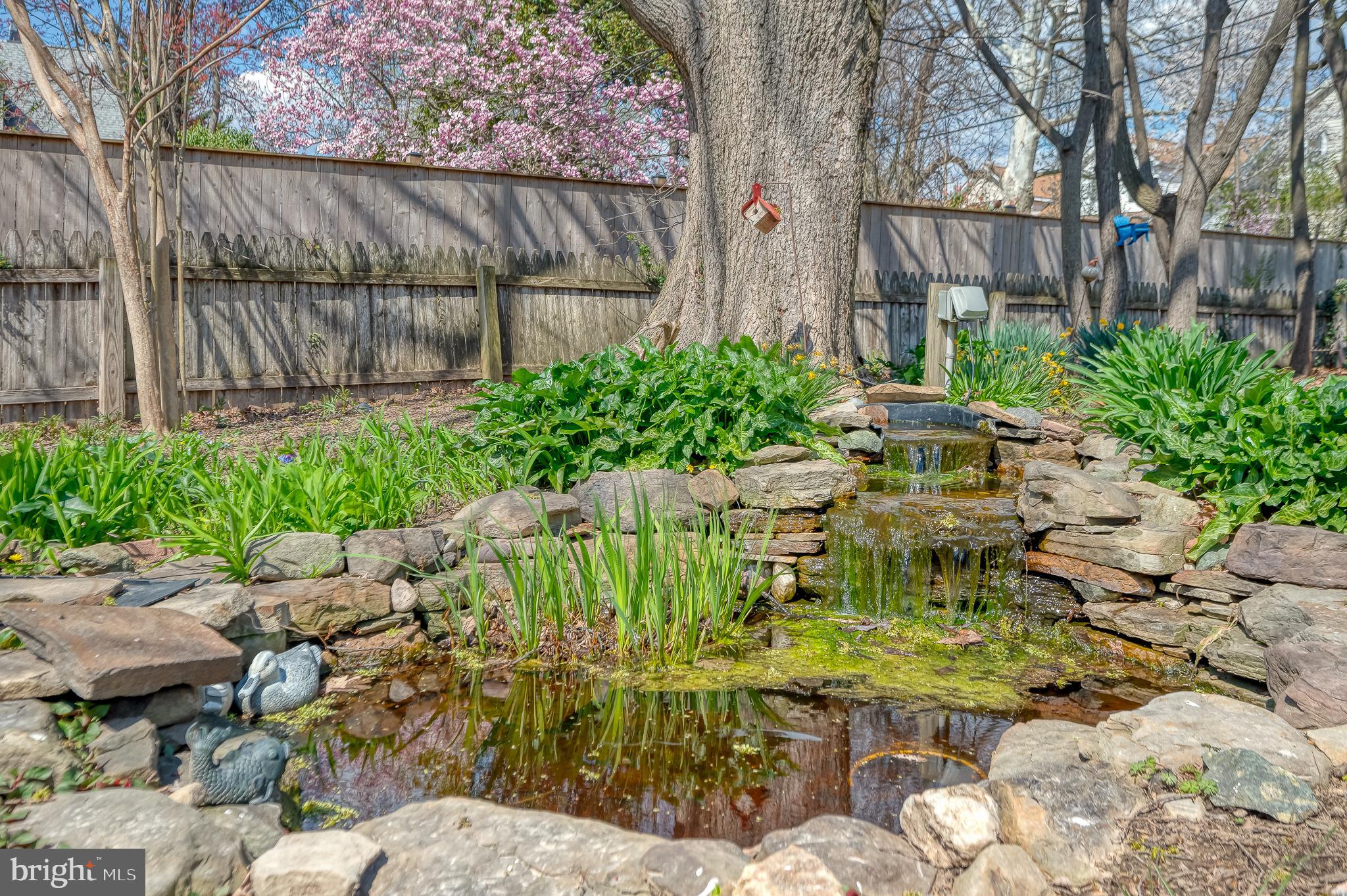 HAMILTON HEIGHTS - Residential