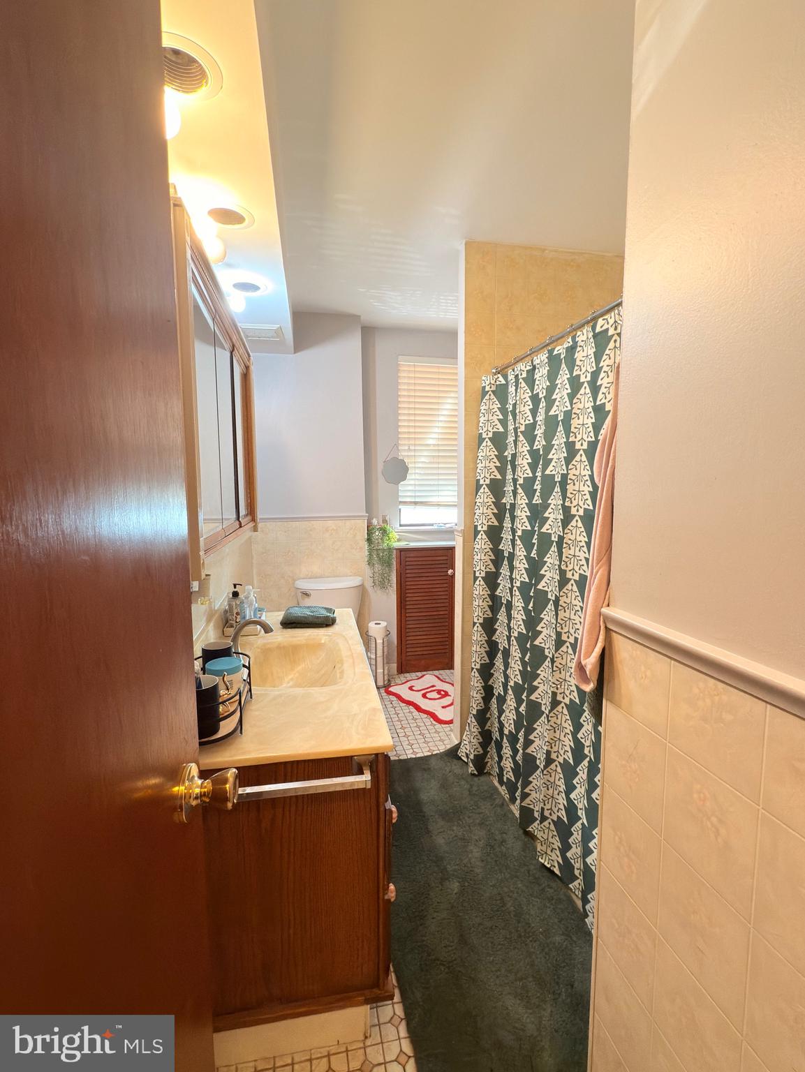 LOWER MOYAMENSING - Residential Income