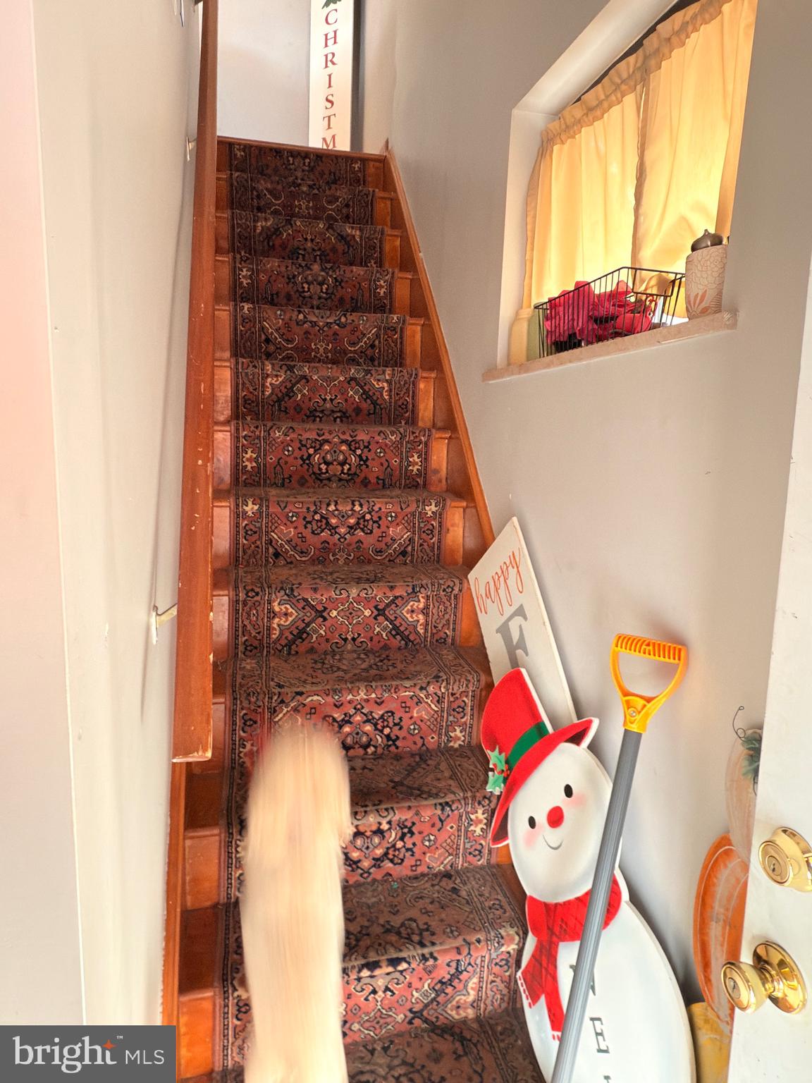 LOWER MOYAMENSING - Residential Income