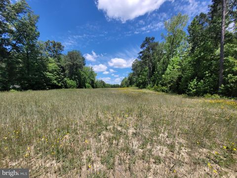 Vacant Land For Sale - Pinckardsville Rd<br/> Lancaster County, LANCASTER, VA 22503