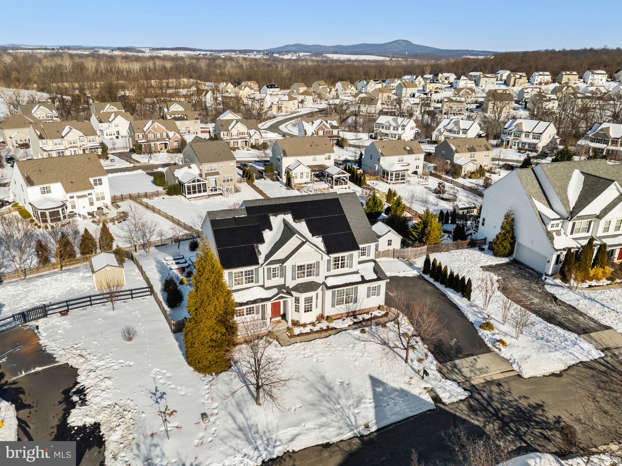 ELYSIAN HEIGHTS - Residential