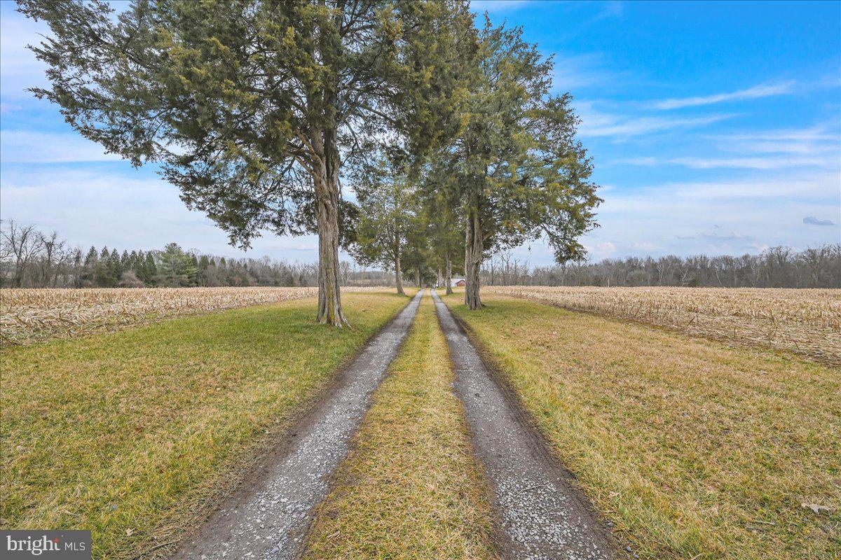 NONE AVAILABLE - Farm