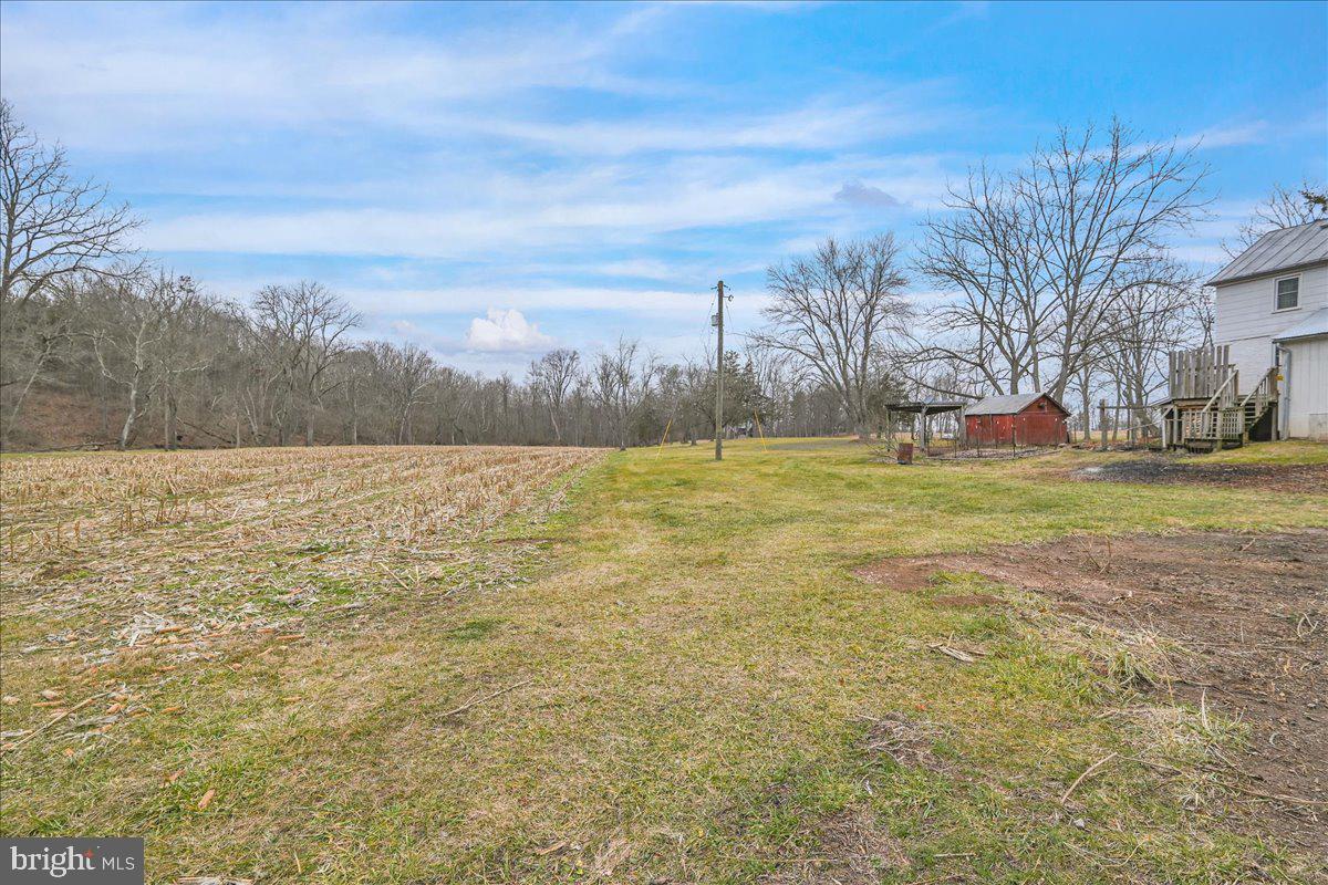 NONE AVAILABLE - Farm