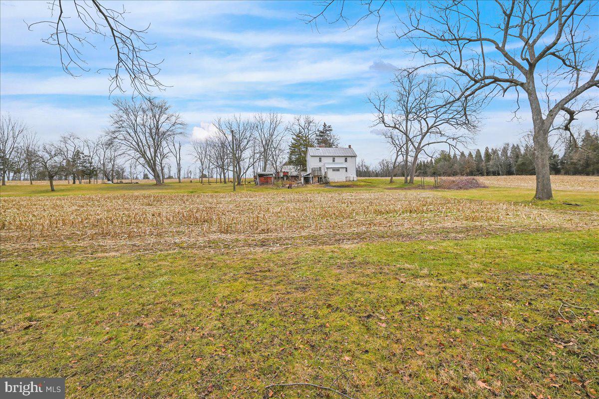 NONE AVAILABLE - Farm