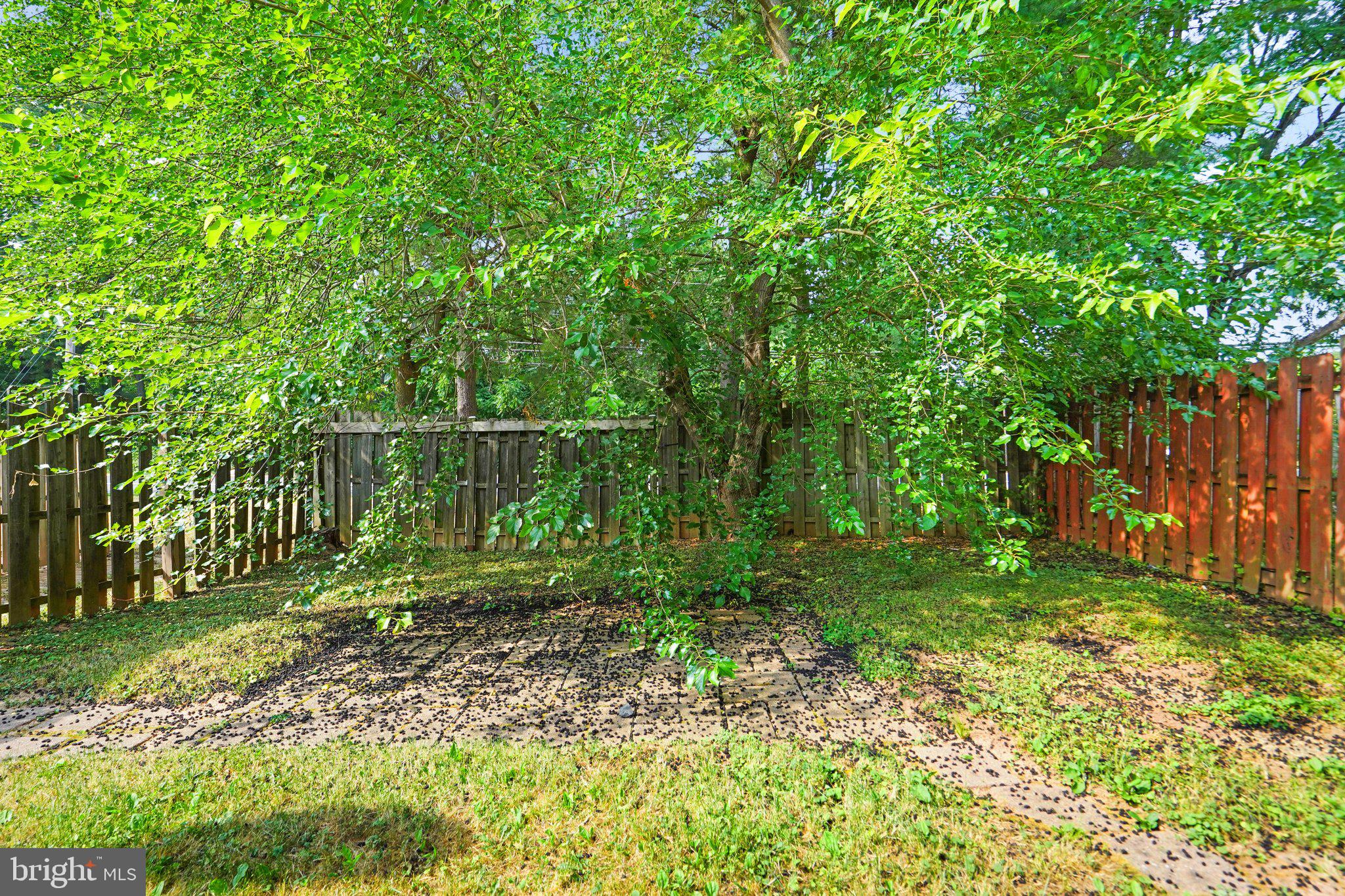 SPRING MEADOWS CONDO - Residential