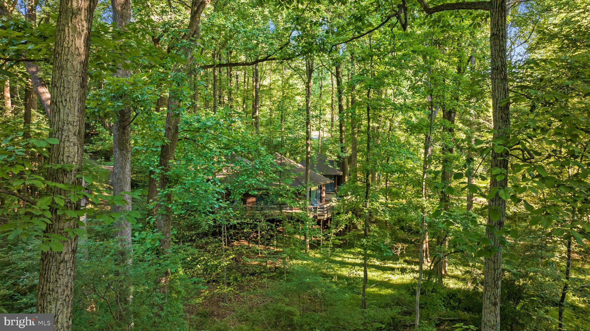 CAVES - Residential
