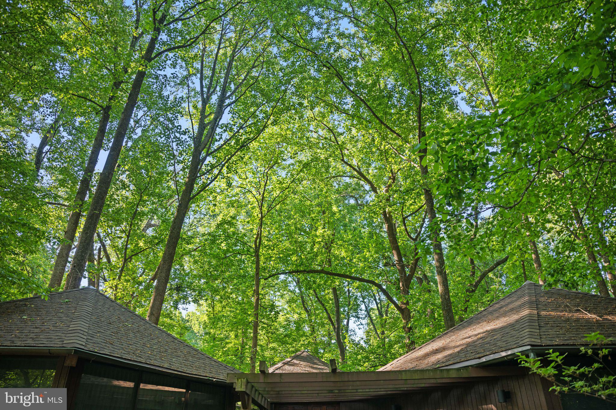 CAVES - Residential