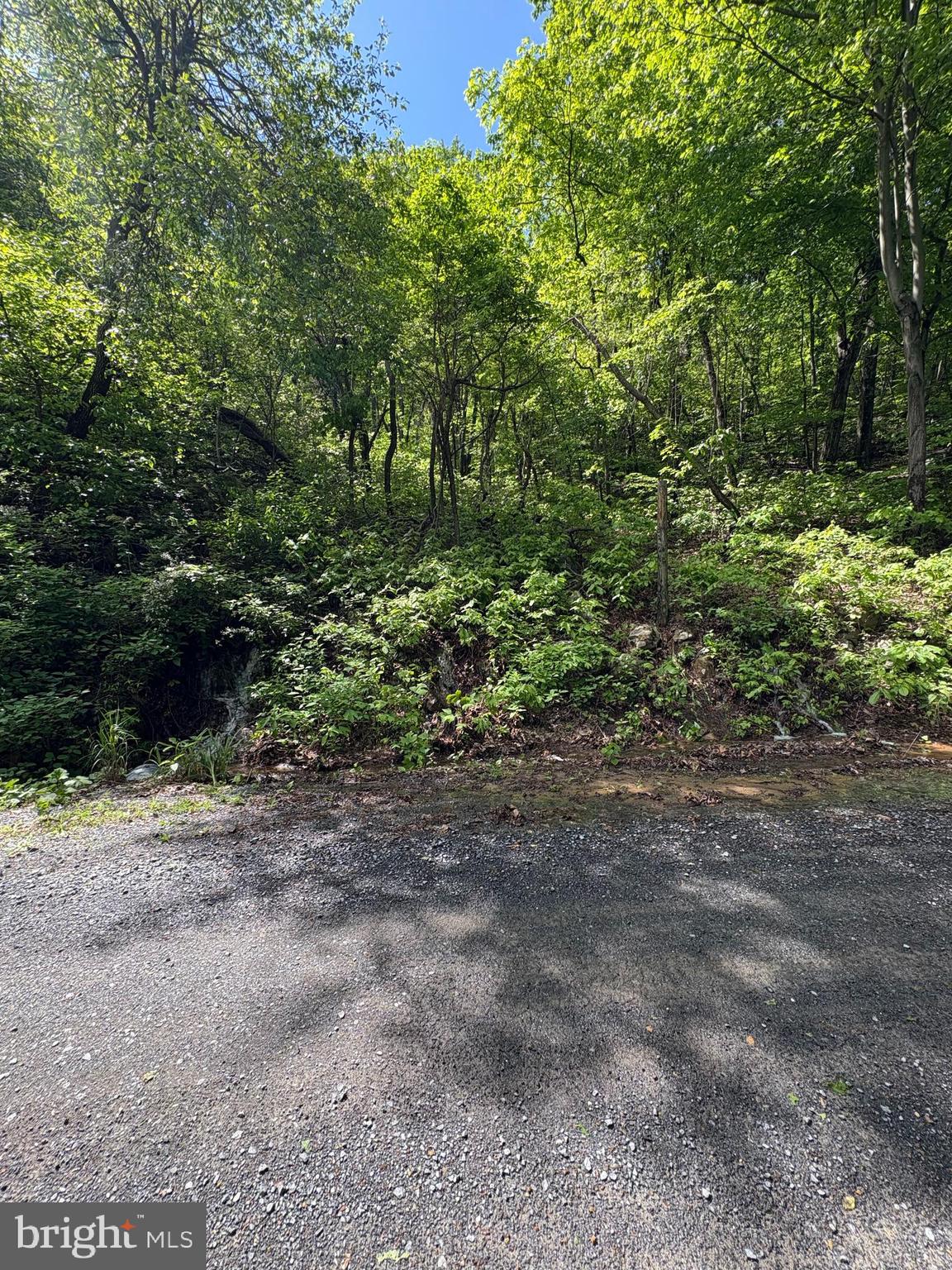 LOT 147 TOMAHAWK TRAIL
