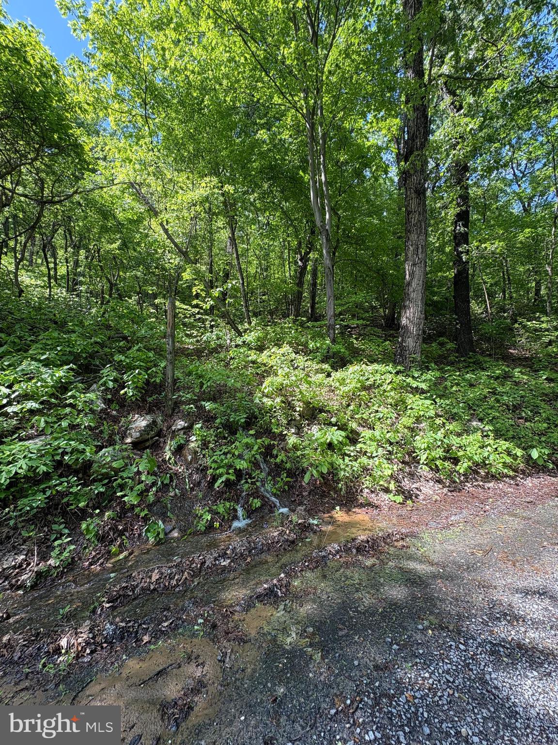LOT 147 TOMAHAWK TRAIL