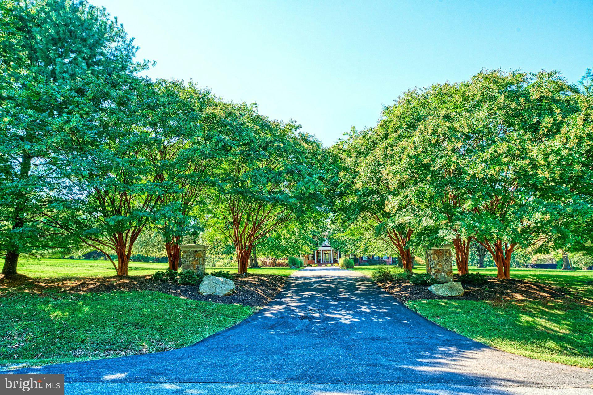 BEACON HILL - Residential