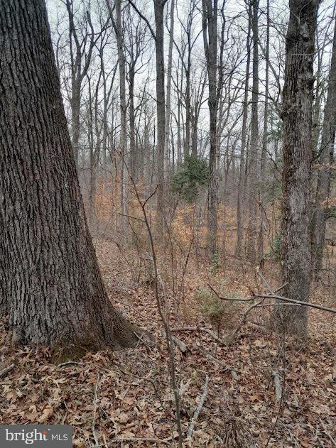 NONE AVAILABLE - Land