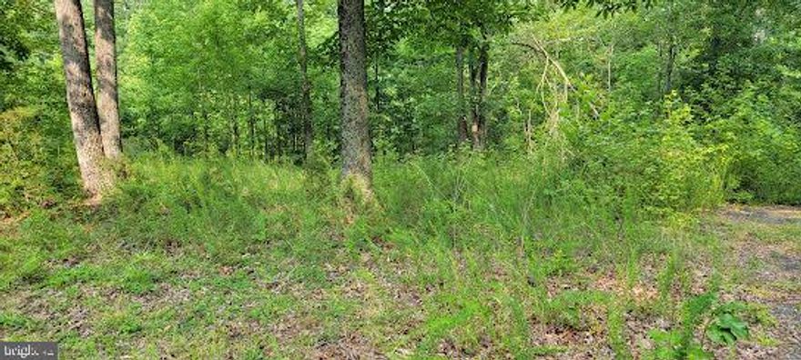 Conveniently located with plenty of space to build a home & still have lots of privacy. Many large hardwoods. Very close to wide part of Lake Anna. Short distance to marinas.  Near 601/622 intersection. Seller & Broker are not liable for any injury caused to others while on this property.