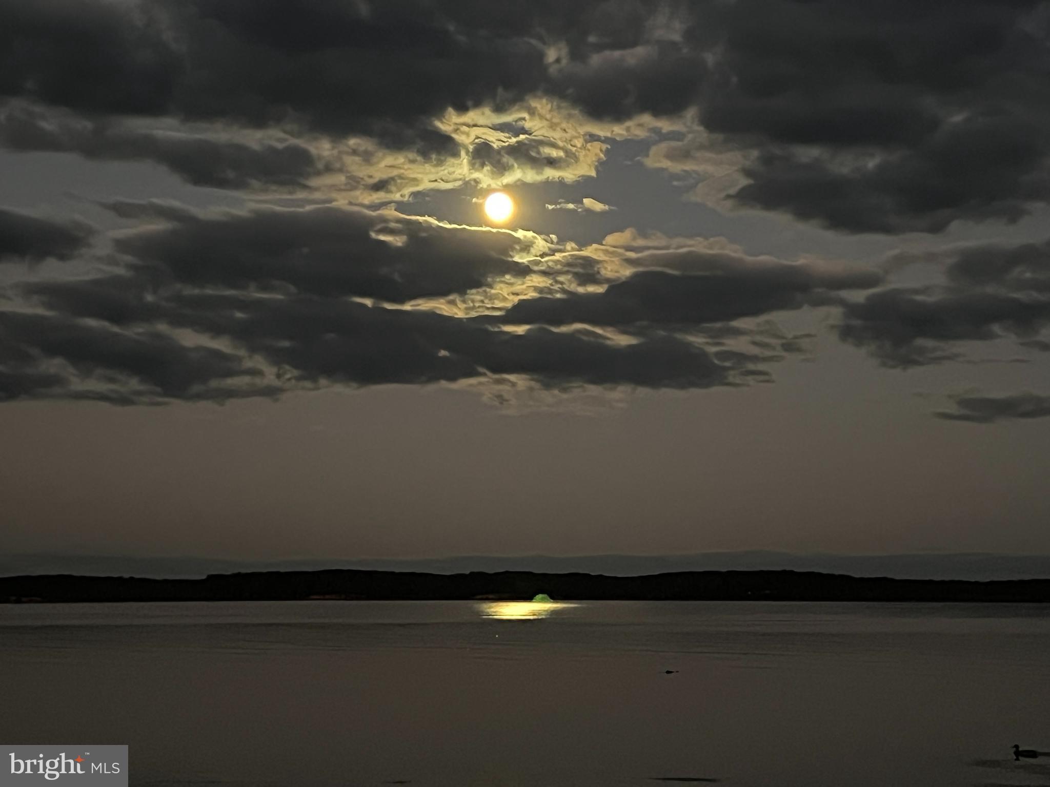 FEATHERSTONE SHORES - Residential