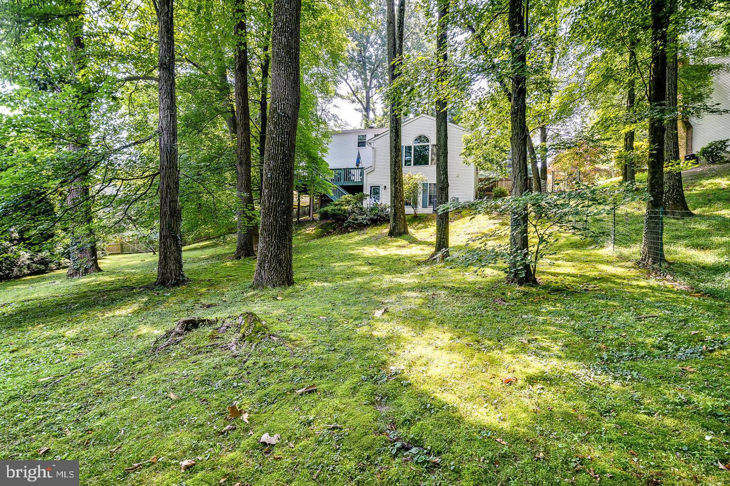 WYNDMOOR - Residential