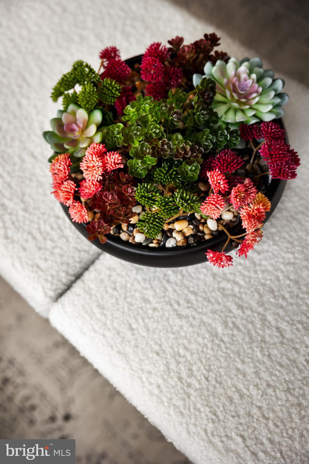 MEGEATH - Residential Lease