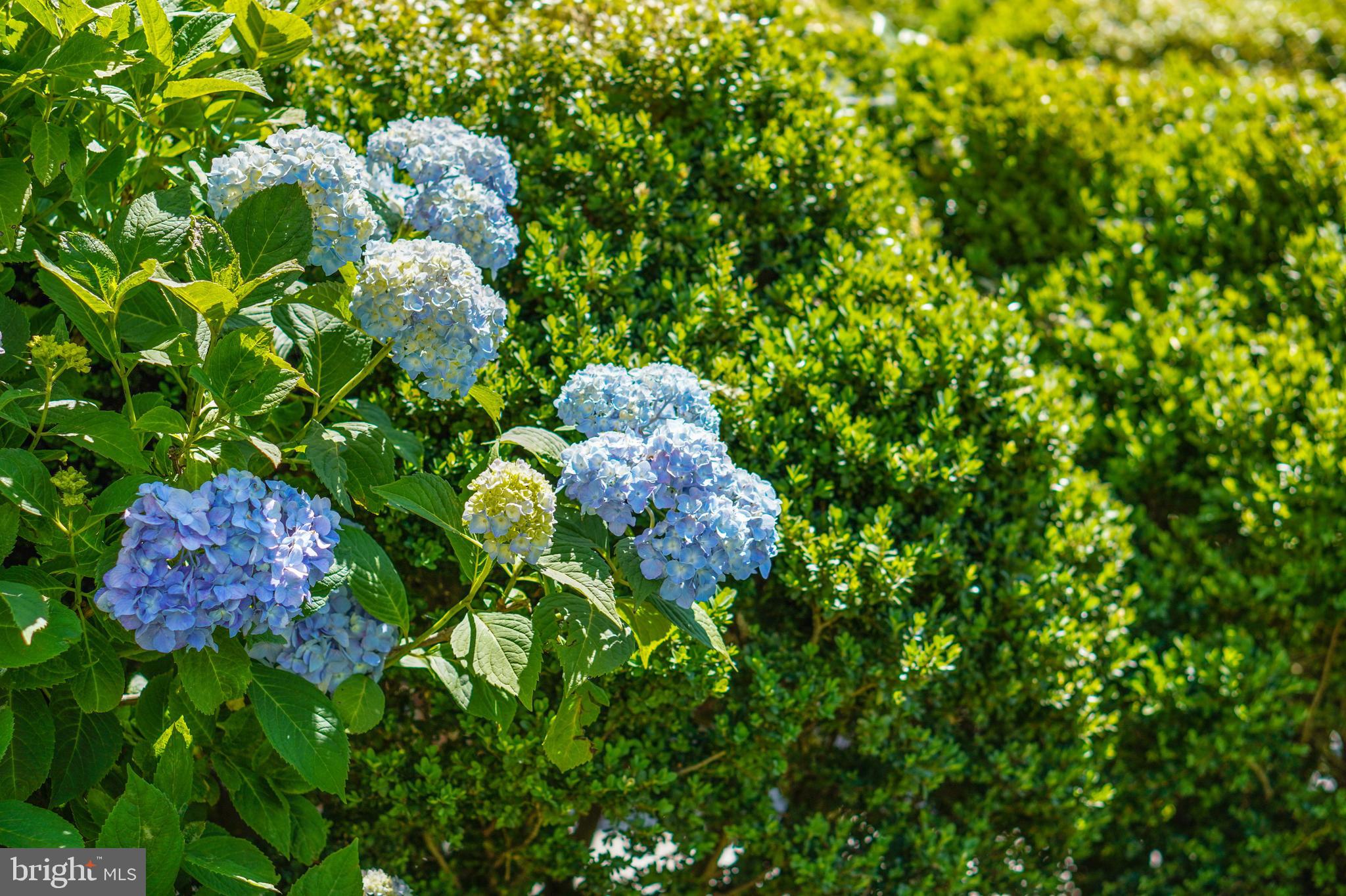 BELLE HAVEN - Residential