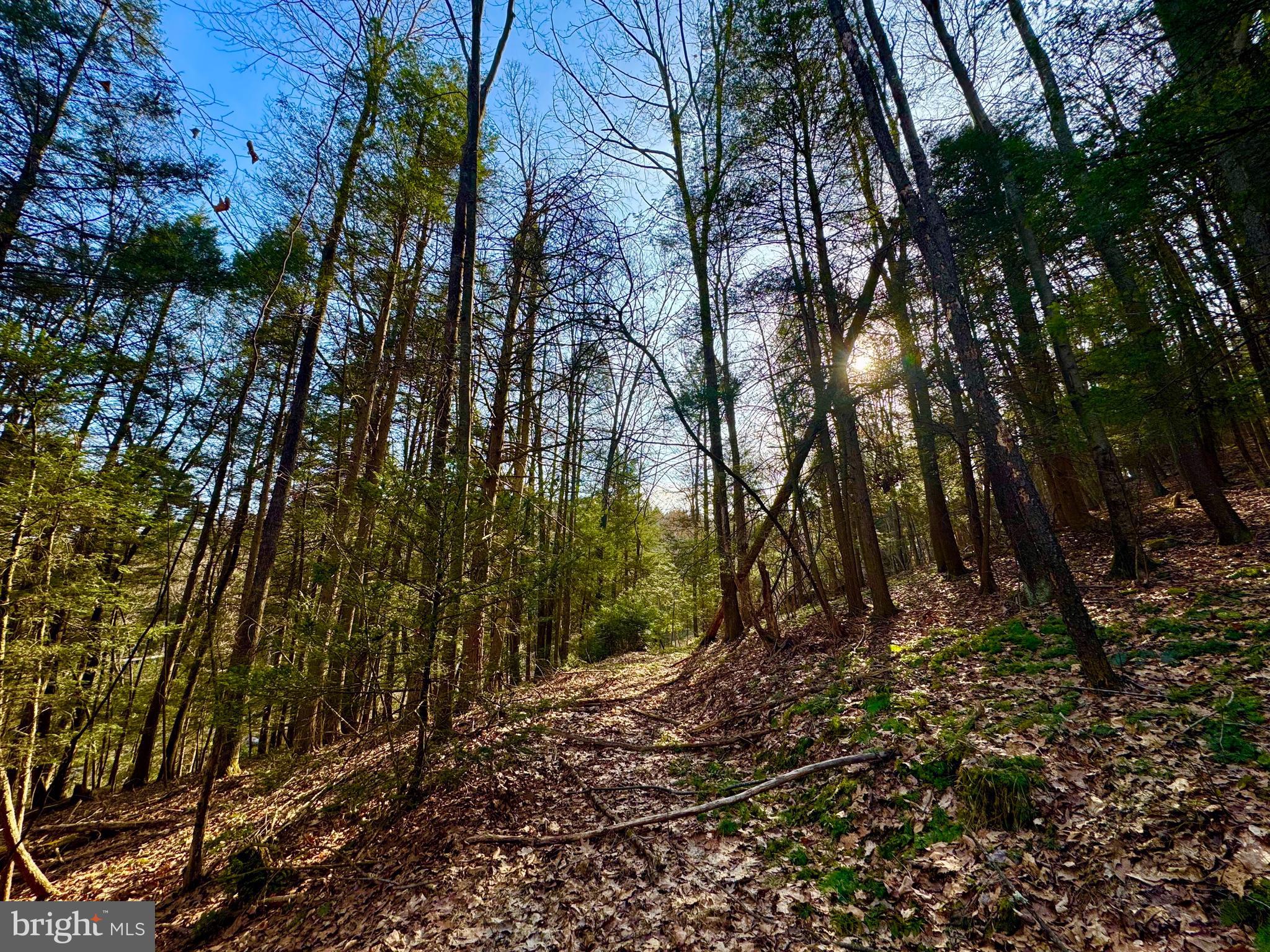 Lot 30 WILD FLOWER WAY