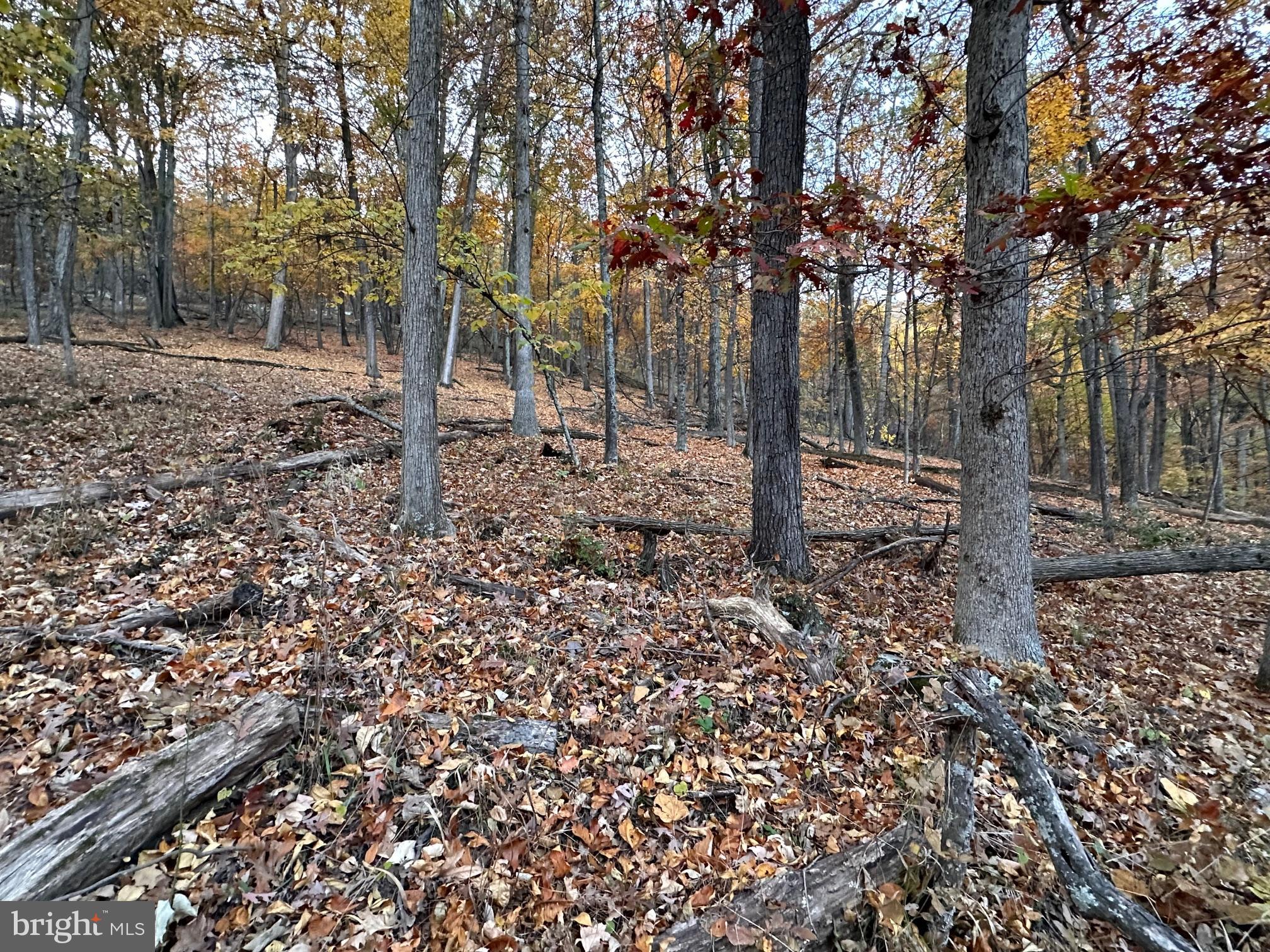 COOLFONT MOUNTAINSIDE - Residential