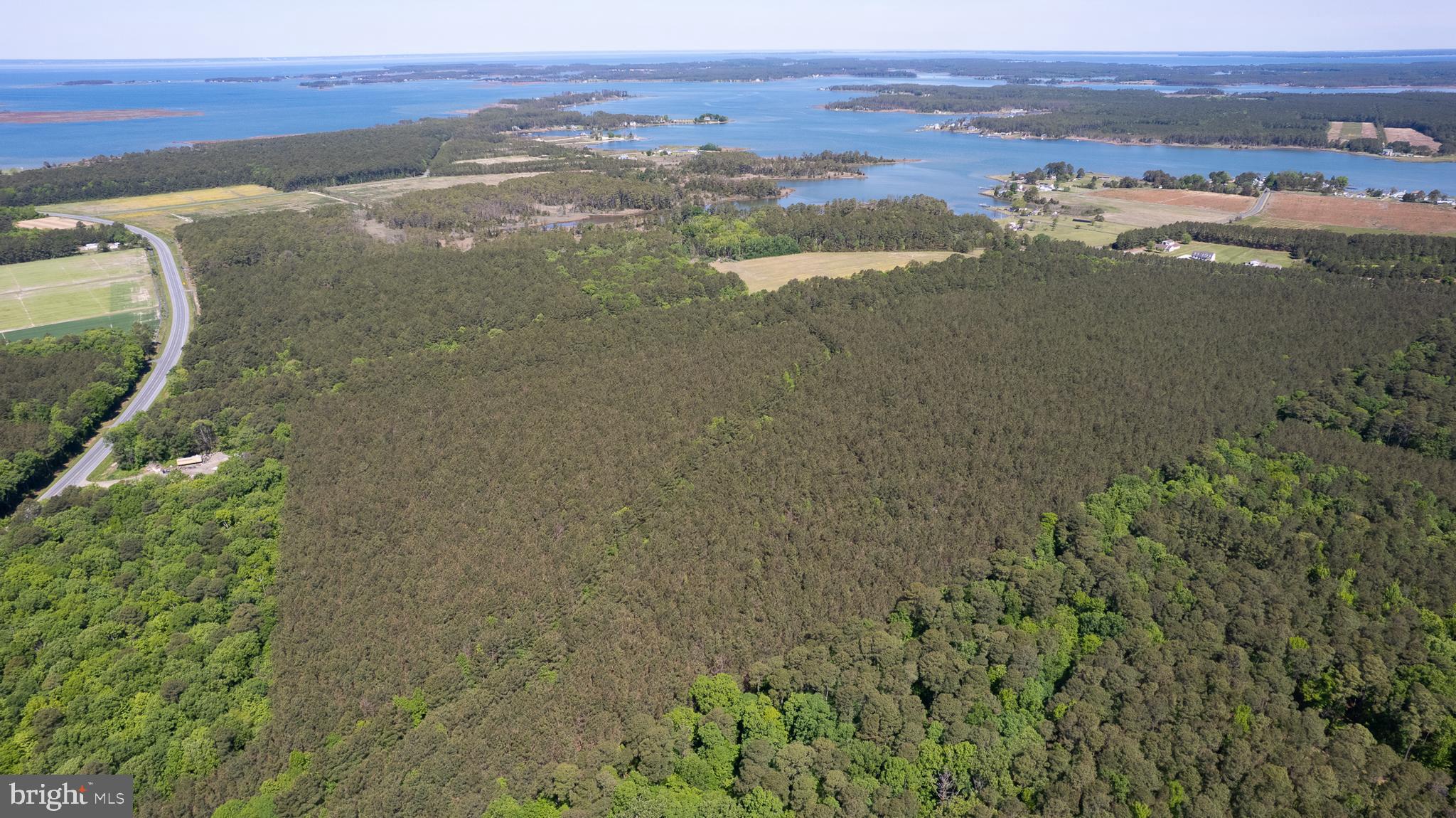 TAYLORS ISLAND RD