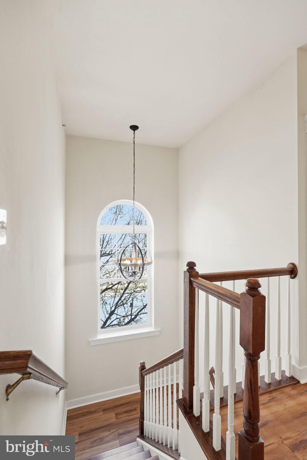 MEADOWS AT MORRIS FARM - Residential