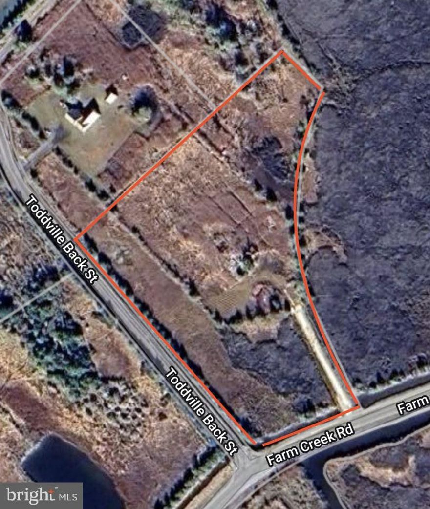 Great 2.25 acre lot on MD's Eastern Shore. Perfect for hunting sika deer and waterfowl. New freshly crushed concrete driveway and culvert for easy access to lot. Owner financing available.