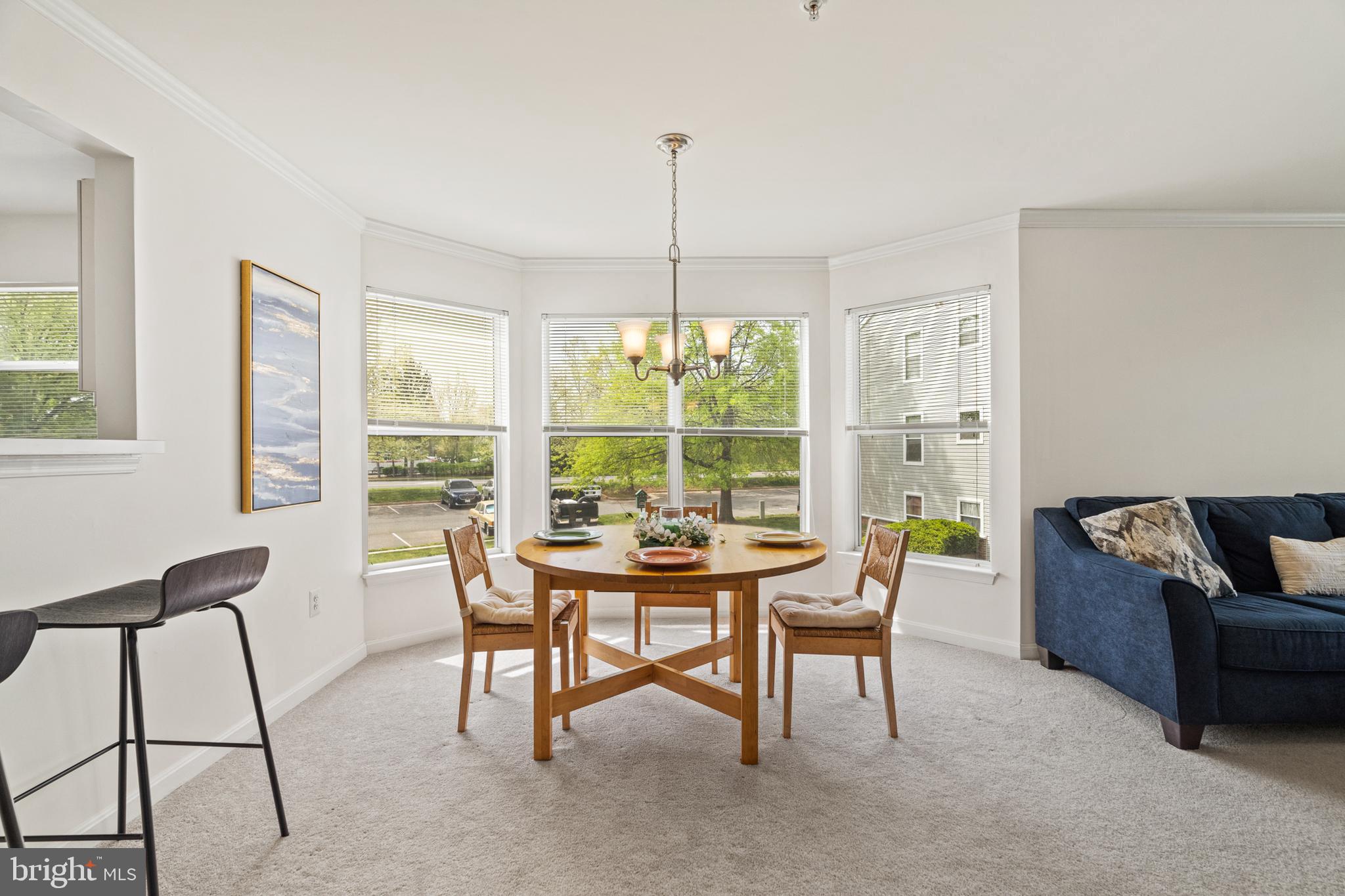 ASHBURN VILLAGE - Residential