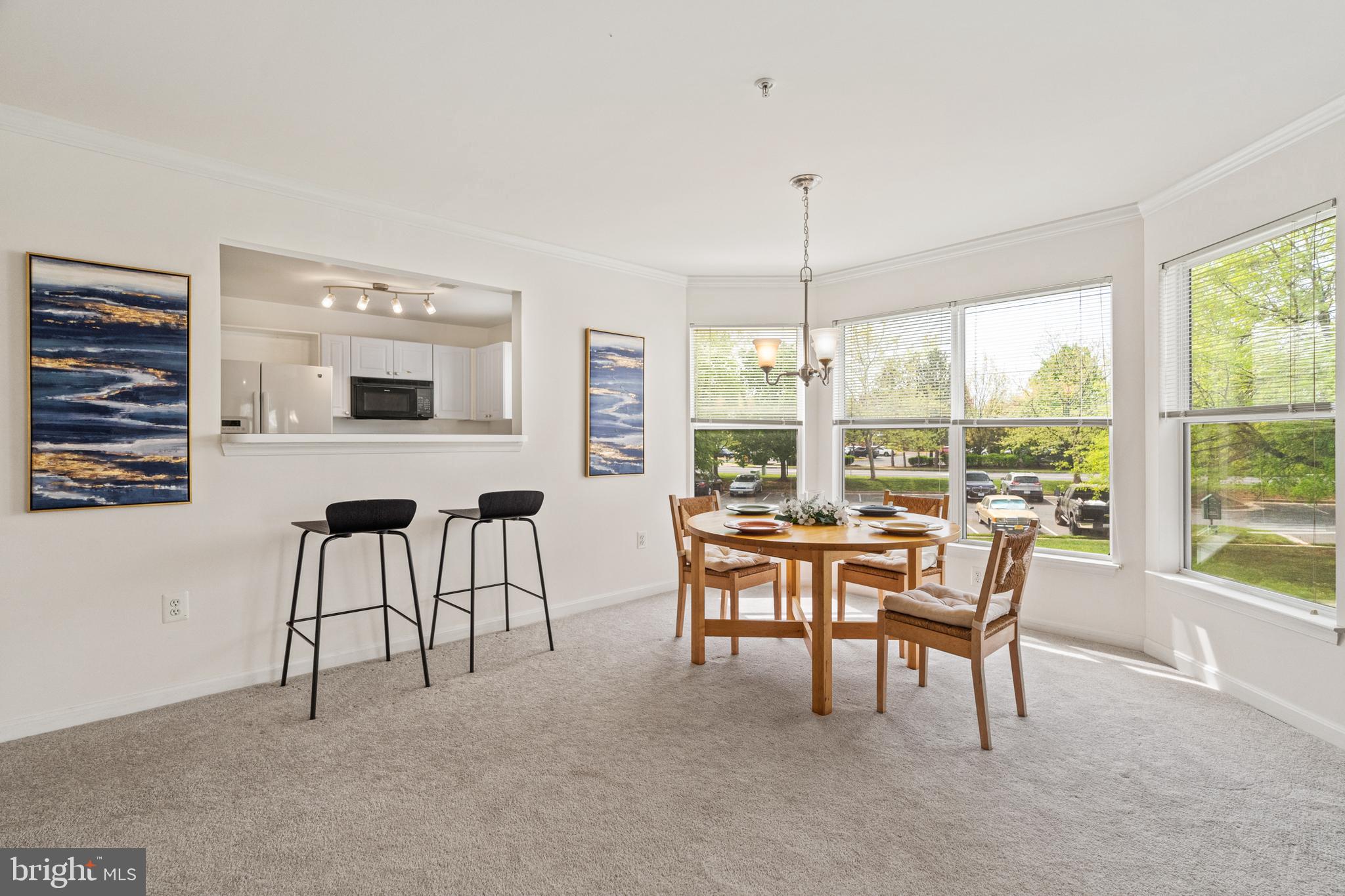 ASHBURN VILLAGE - Residential