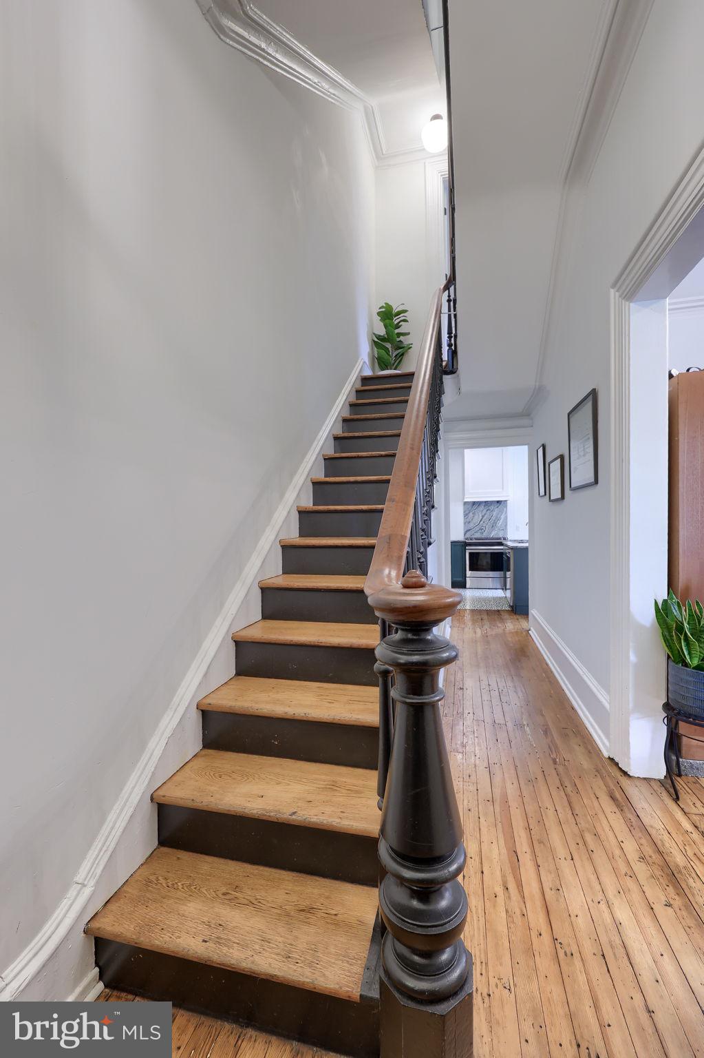 CHESTNUT HILL - Residential