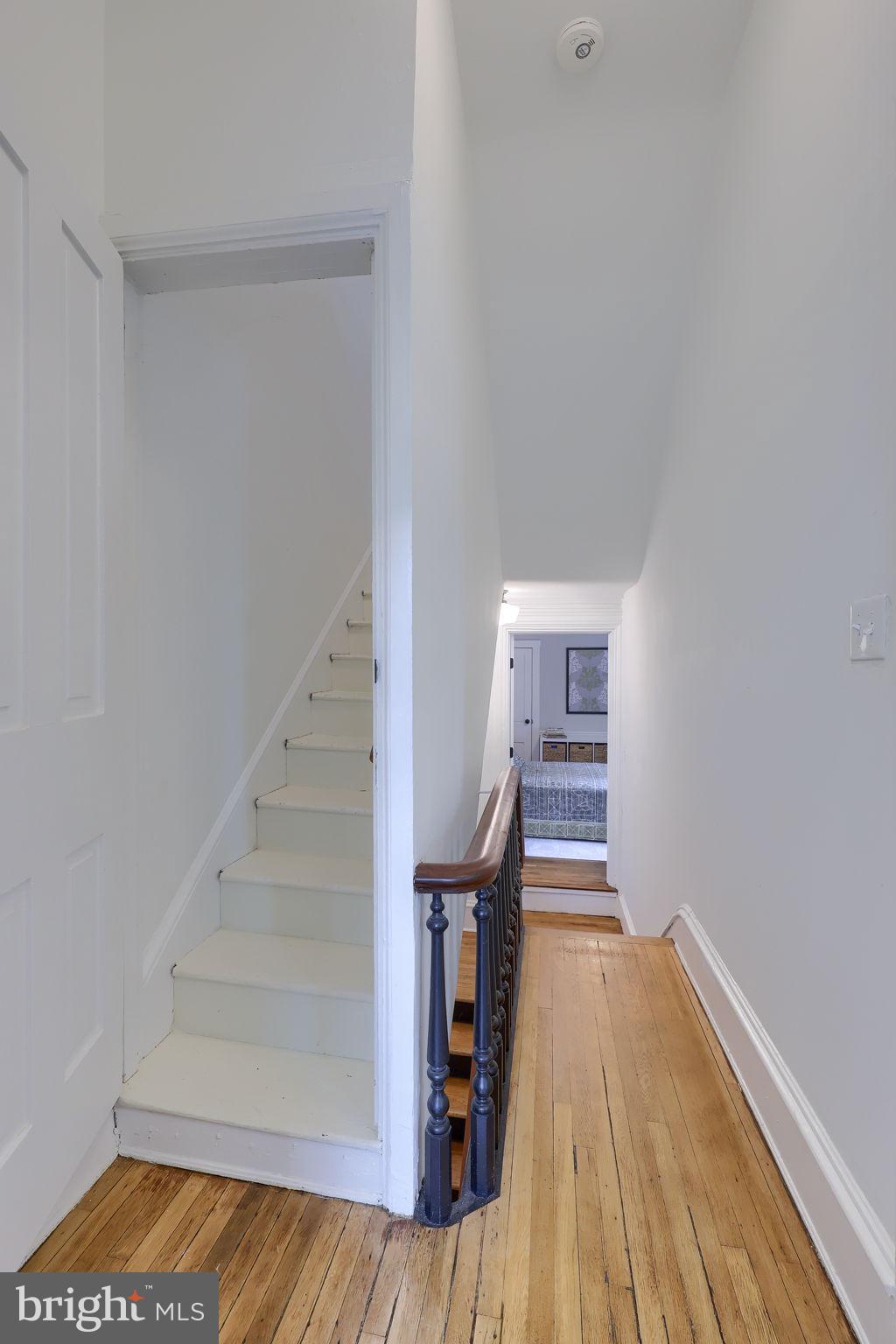 CHESTNUT HILL - Residential