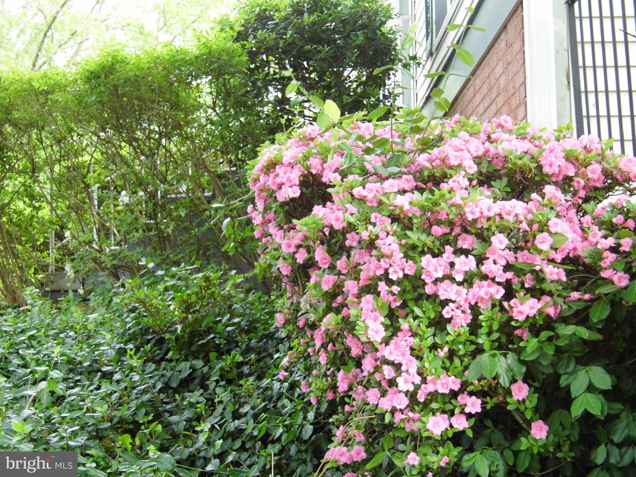 ANTIETAM WOOD - Residential