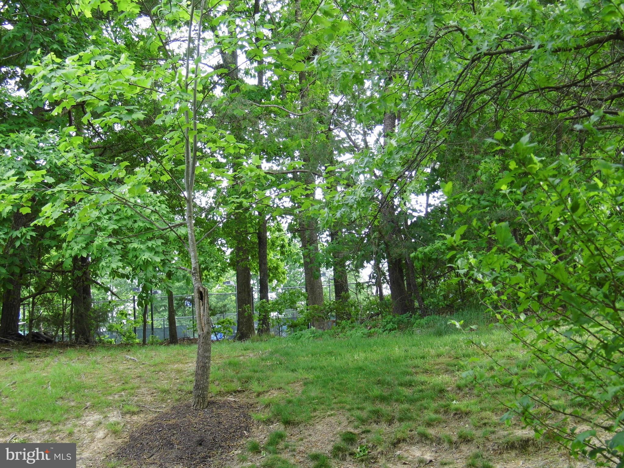 ANTIETAM WOOD - Residential