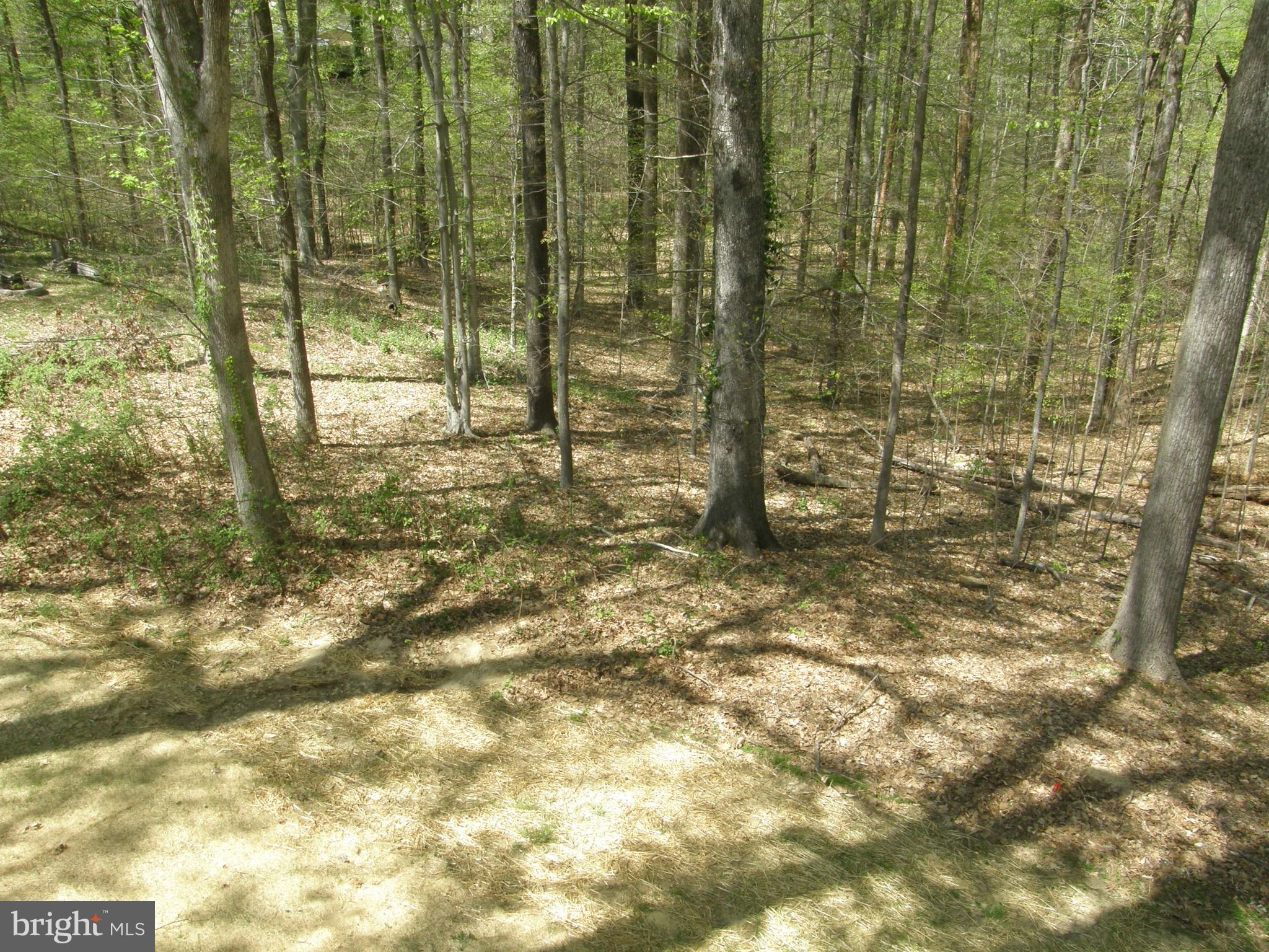 NORTH TOWN CREEK - Residential