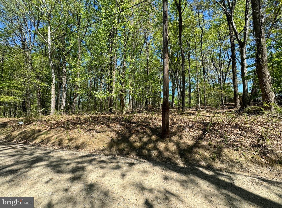 Lot 92 HONEYSUCKLE LANE