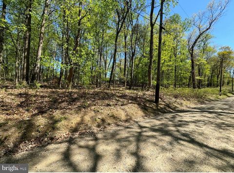 Vacant Land For Sale - LOT 92 Honeysuckle Lane<br/> BLUEMONT, VA 20135