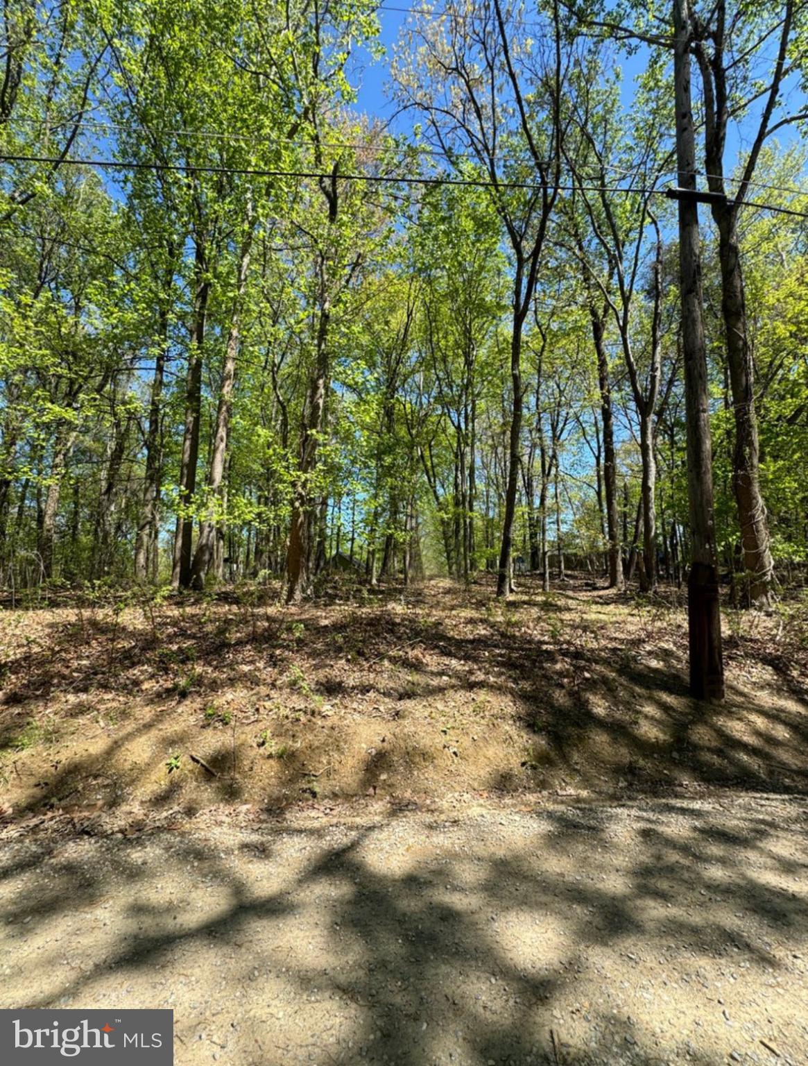 Lot 92 HONEYSUCKLE LANE