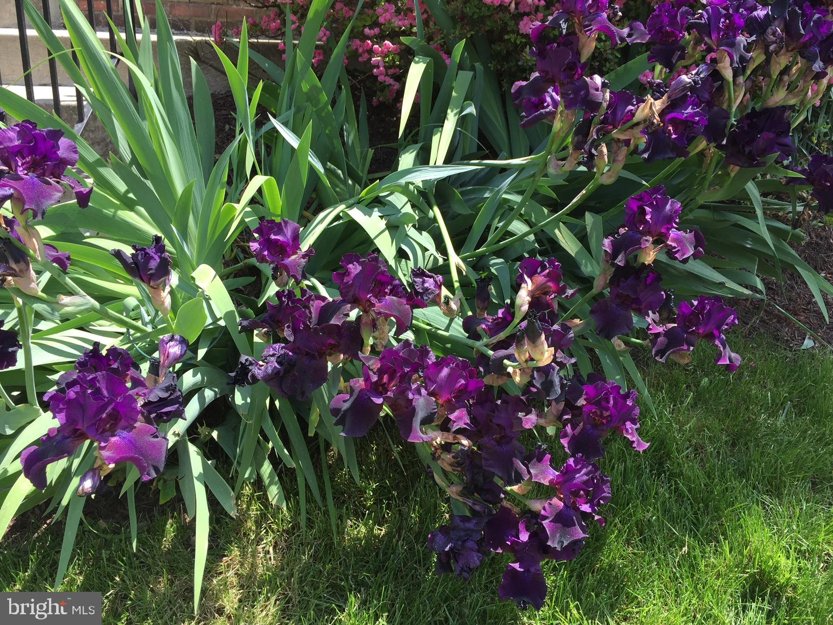 KENWOOD FOREST - Residential