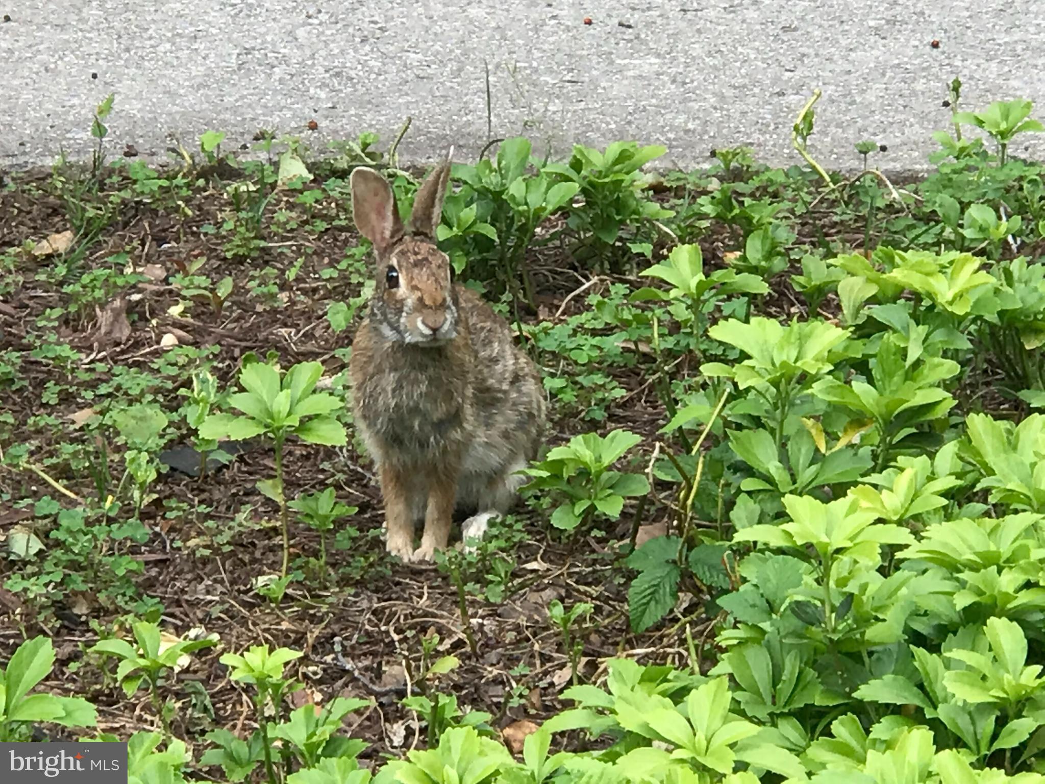 KENWOOD FOREST - Residential