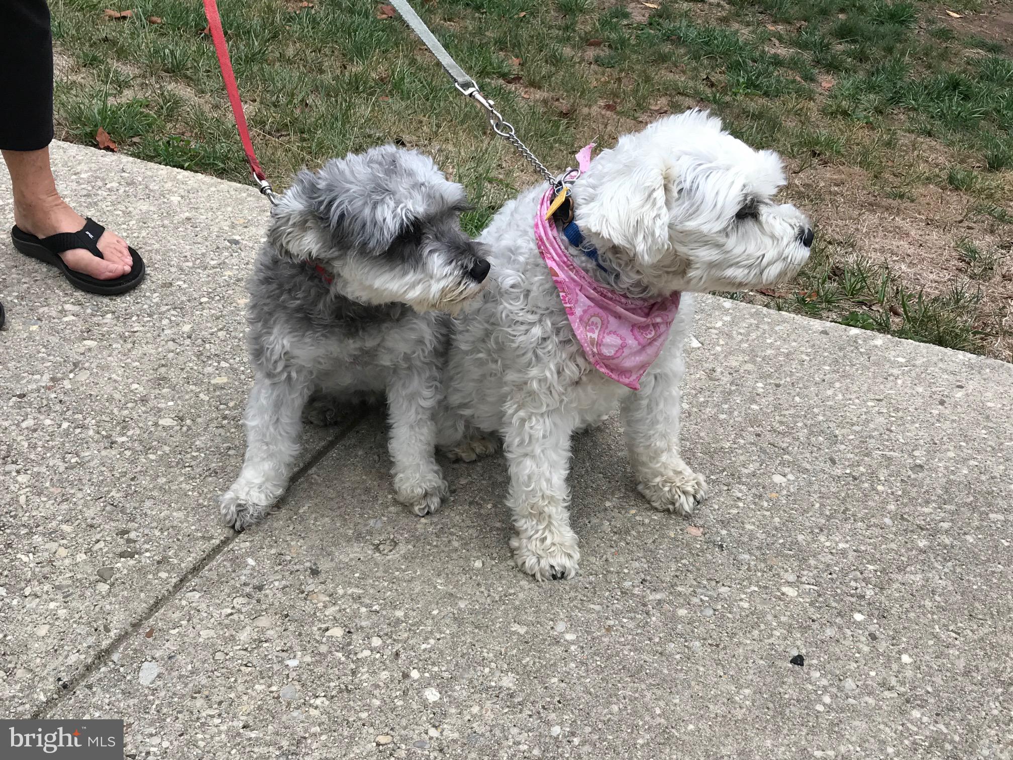 KENWOOD FOREST - Residential