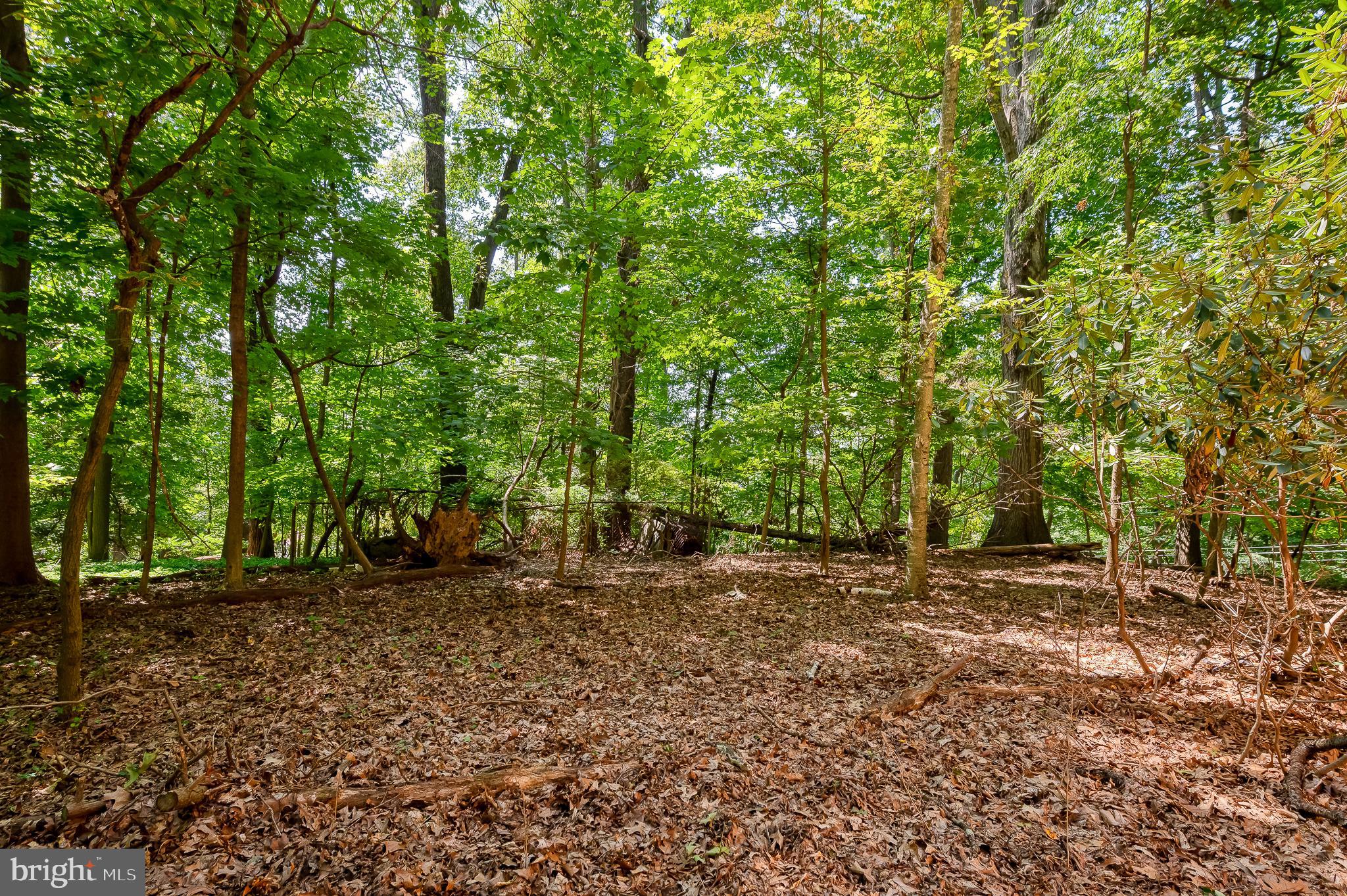 COCKEYSVILLE - Residential