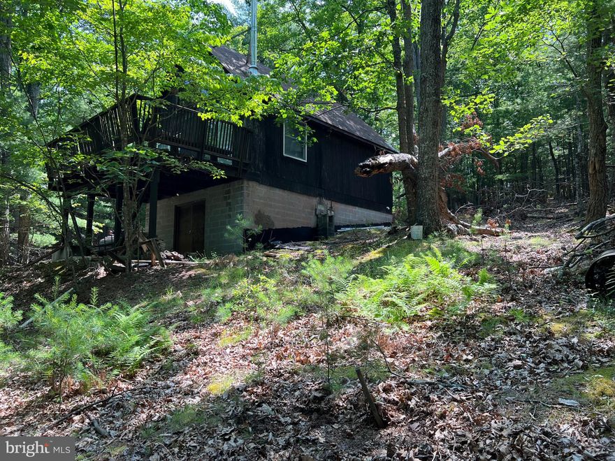 Ever thought of Hiding in the Hills?   This could be the place.  This unfinished cabin on over 8 acres  is waiting for you to make it your own.  The hard part is already completed. The  well, septic, electric,  phone line and structure are in place.  There is a bedroom on the main level and the loft adds an additional bedroom space.  There are 2 baths waiting for completion and the open floor plan lets nature shine in.  The lower level has a  high enough ceiling to also finish into living space.  So Take the Path Less Traveled and see what WV has to offer!