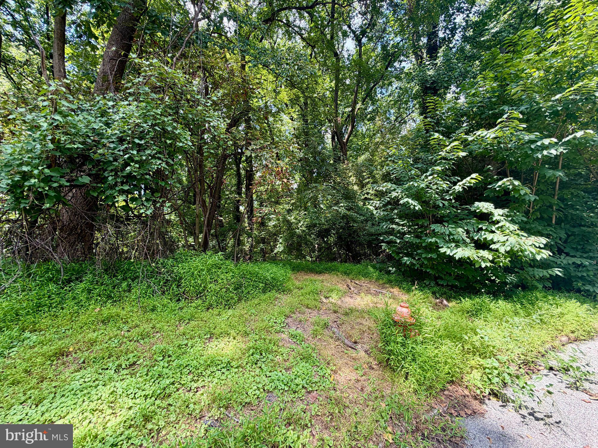 WOODBERRY WOODS