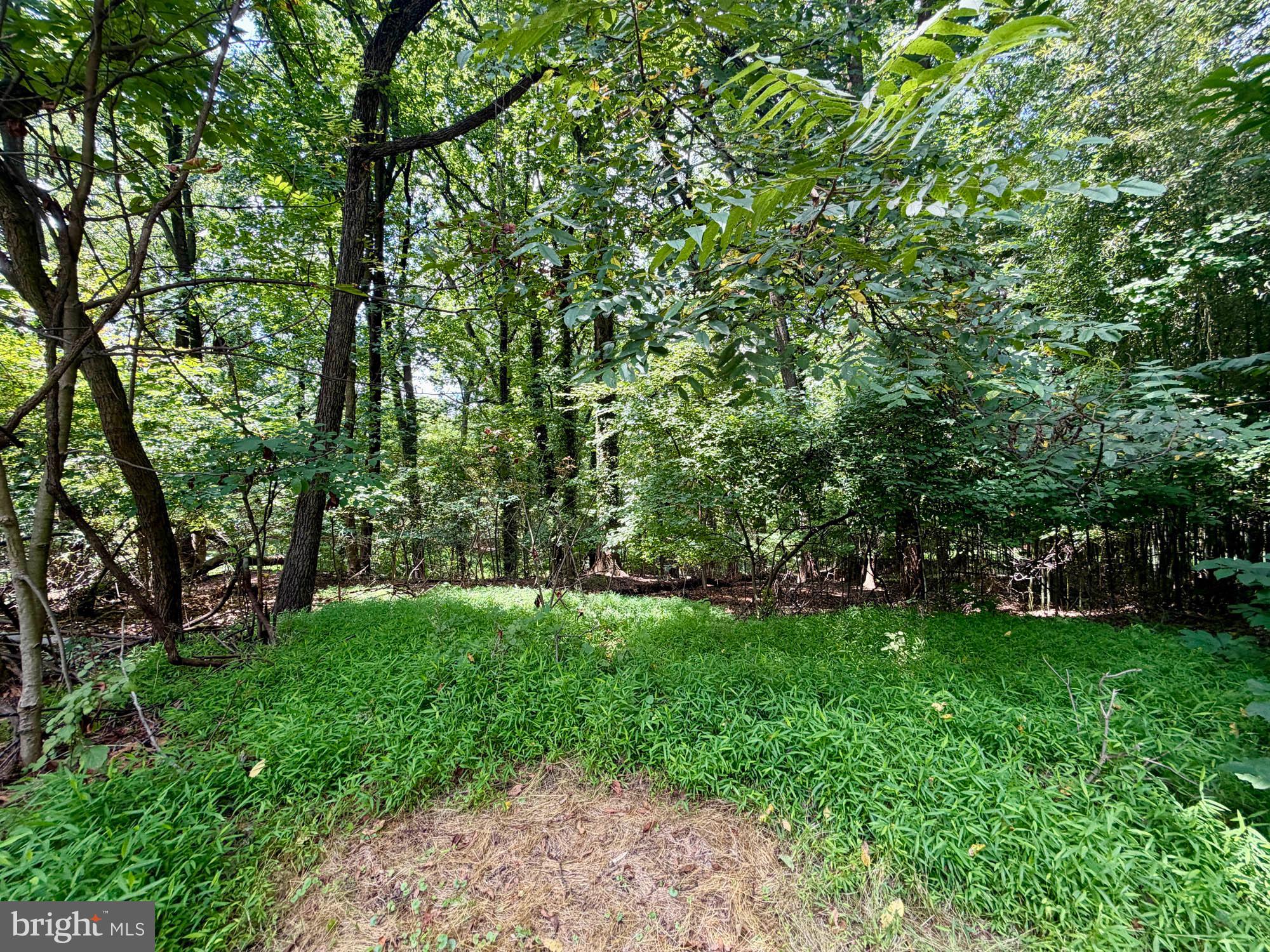 WOODBERRY WOODS