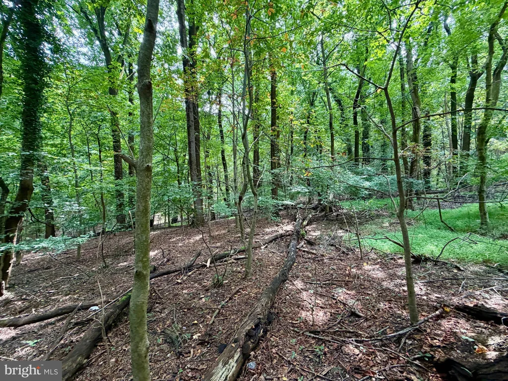 Woodberry Woods, Baltimore, MD 21209