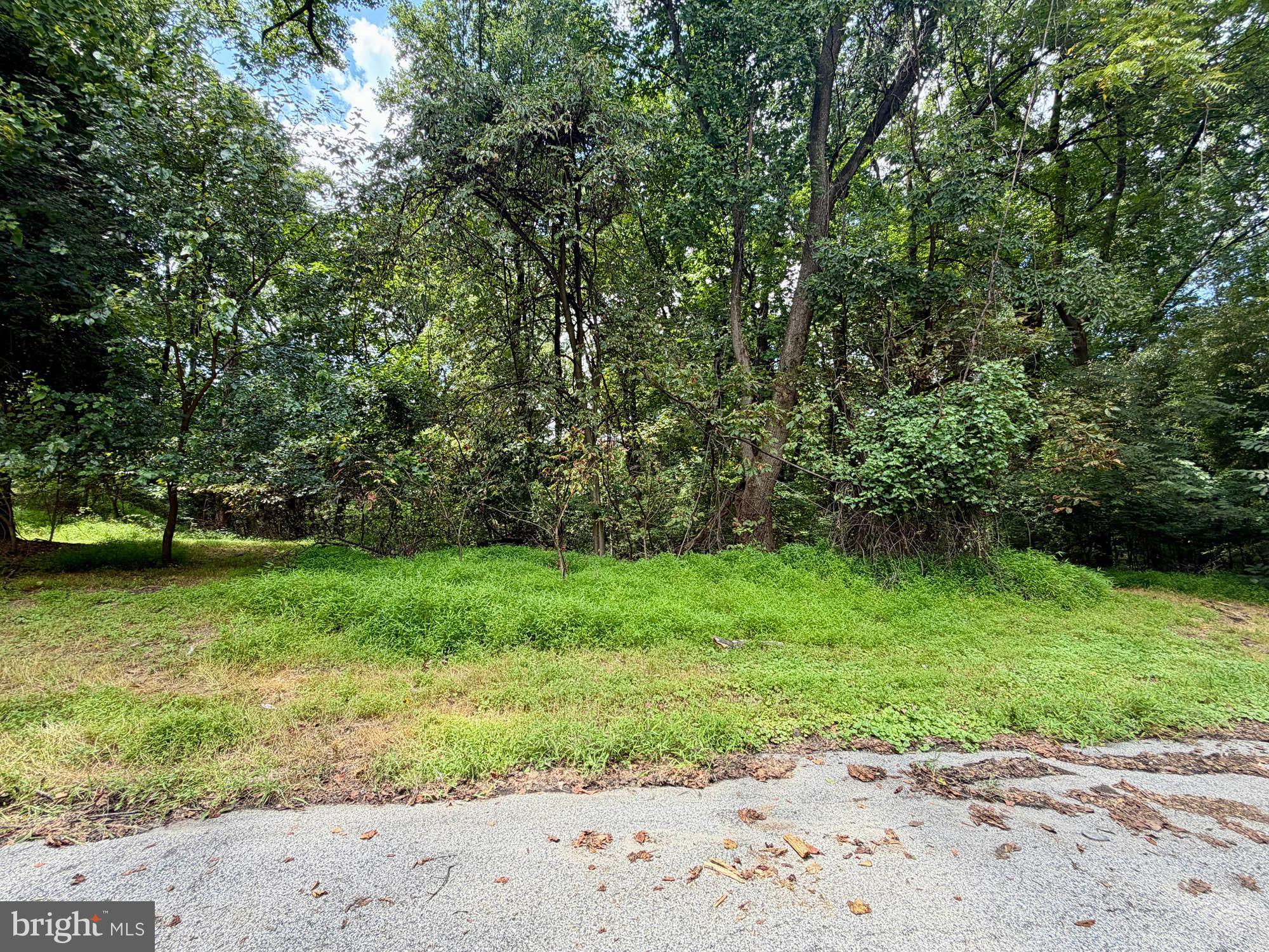 WOODBERRY WOODS