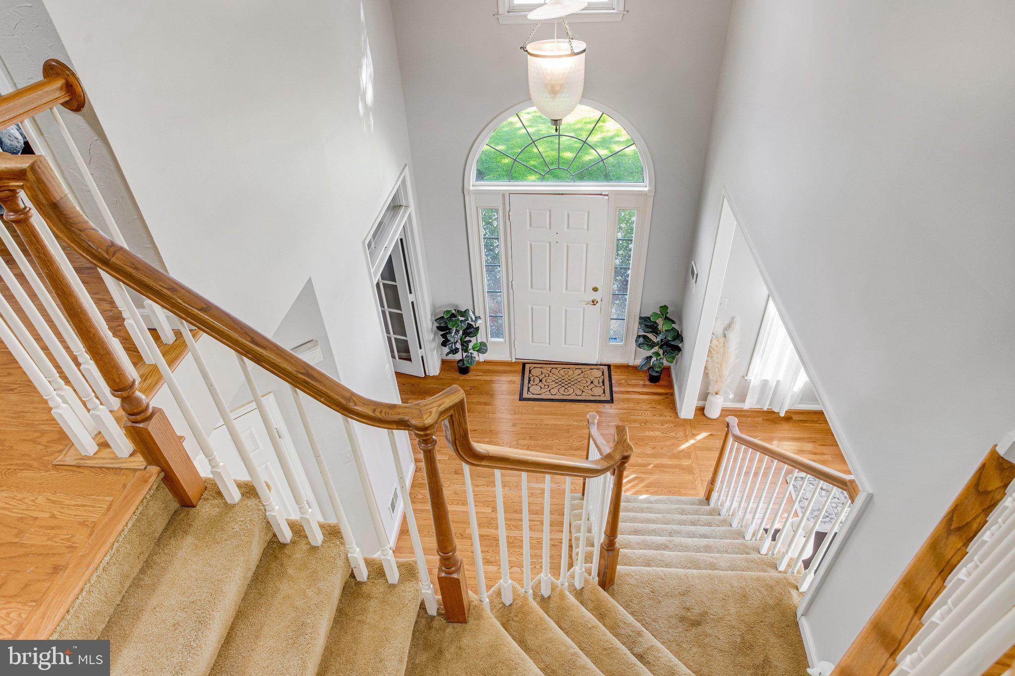 MEADOWS OF MINNIEVILLE - Residential