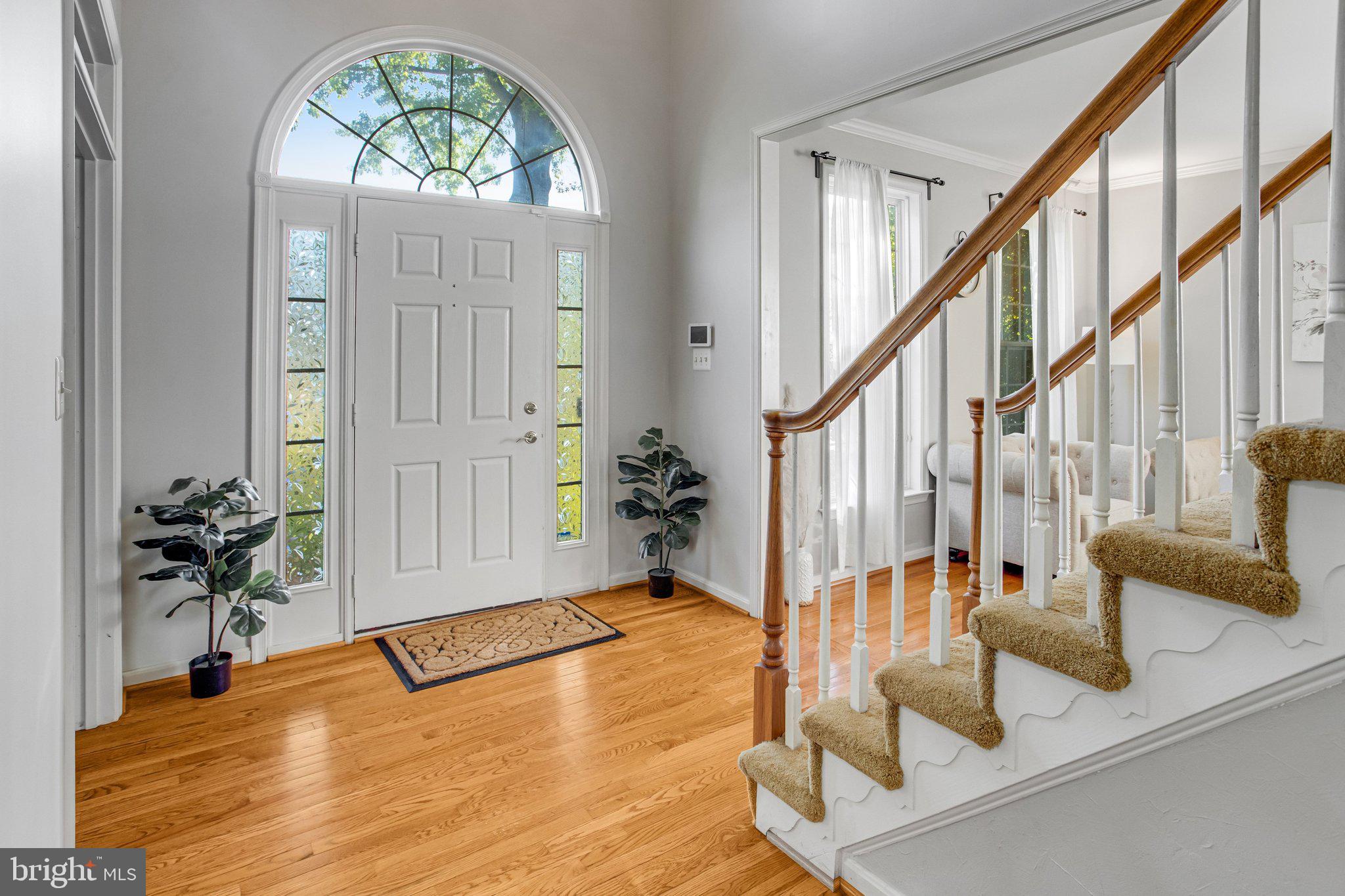 MEADOWS OF MINNIEVILLE - Residential