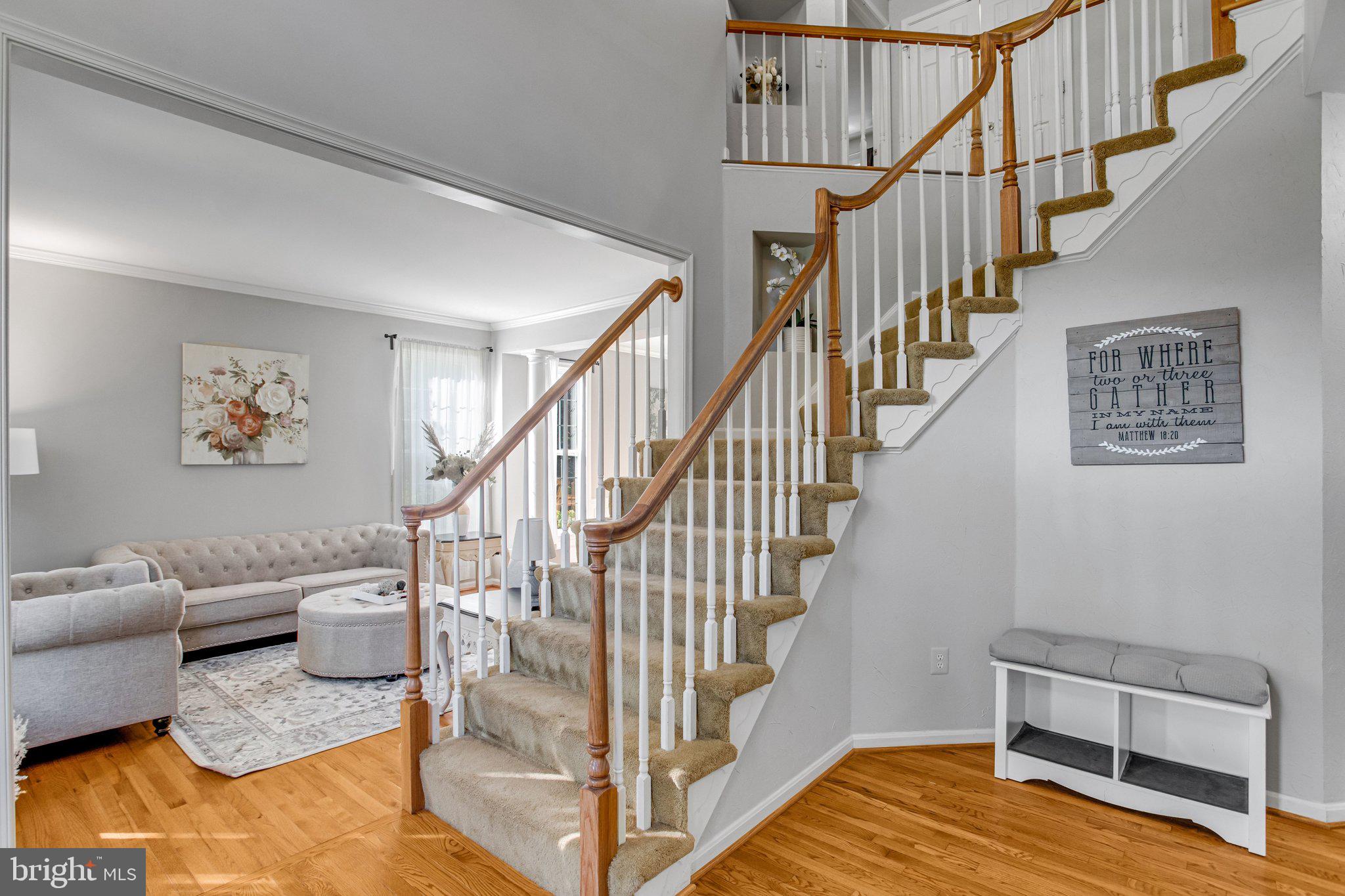 MEADOWS OF MINNIEVILLE - Residential