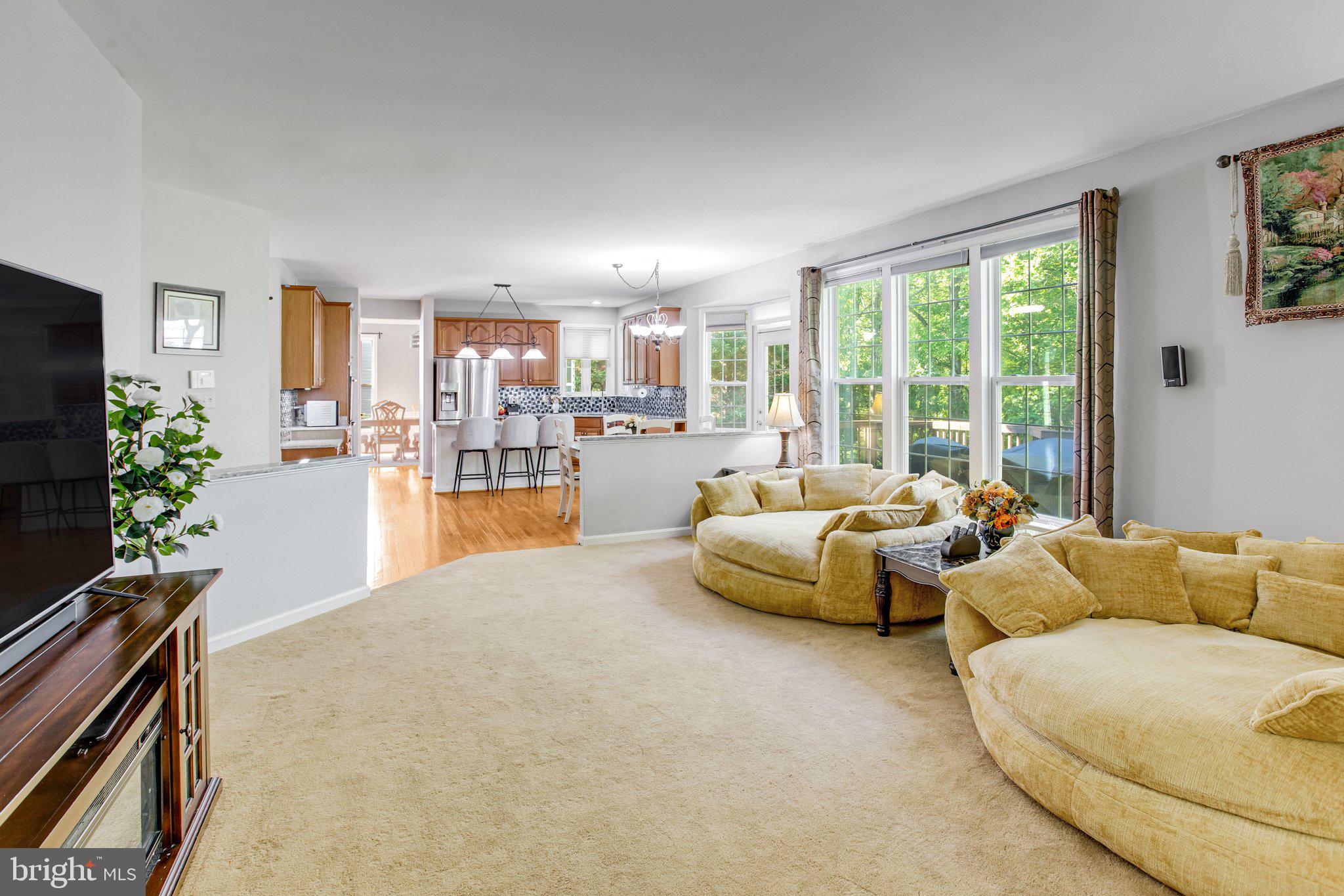 MEADOWS OF MINNIEVILLE - Residential