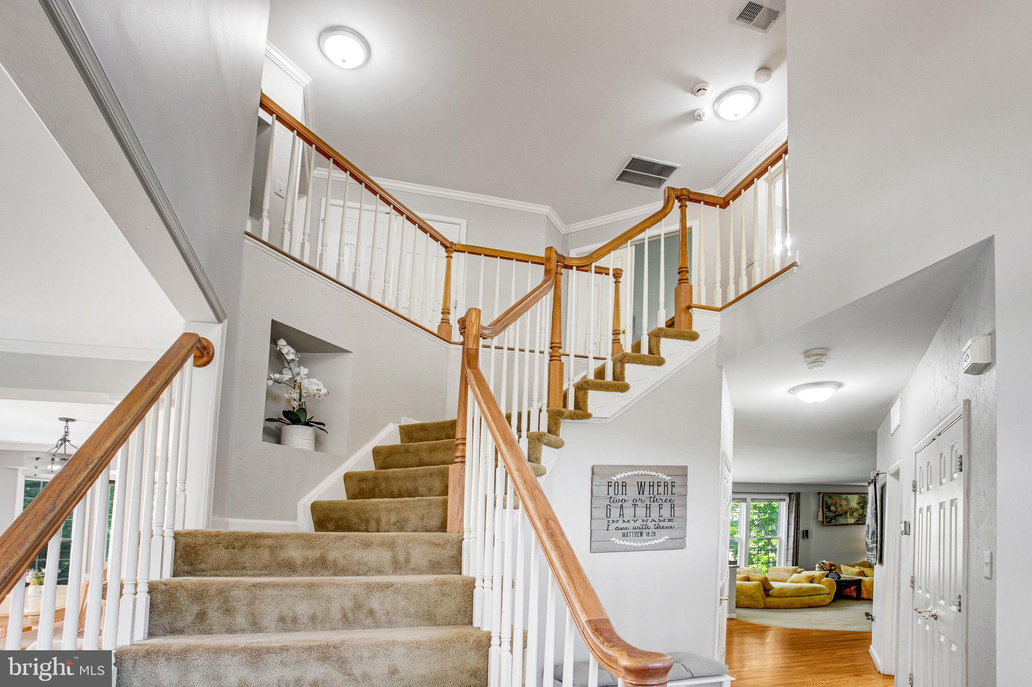 MEADOWS OF MINNIEVILLE - Residential